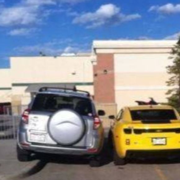 parking3
